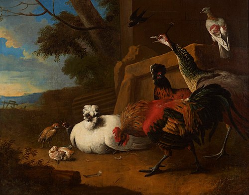 The poultry yard, 1680, Melchior d'Hondecoeter