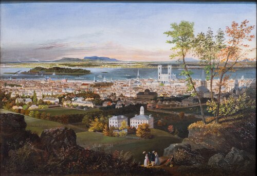 Montréal vu du mont Royal, 1853, Edwin Whitefield