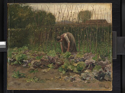 Kool plukken, 1895, Jacobus Simon Hendrik Kever