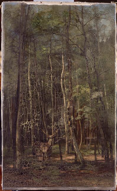 Fontainebleau : bouleaux et pins, 1873, Eugène Lavieille