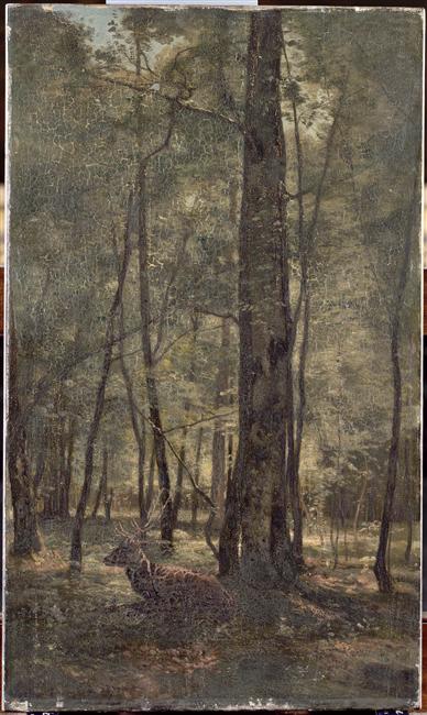 Fontainebleau : cerf au repos sous une futaie, 1873, Eugène Lavieille