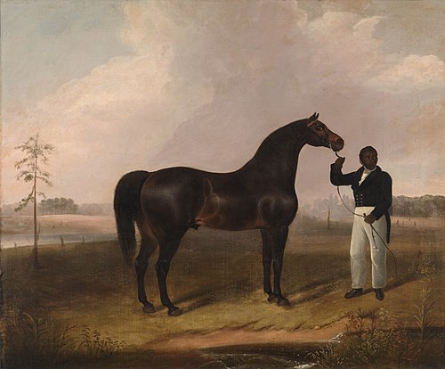 Sir Archy by Diomed out of Castianira, 1823, Alvan Fisher