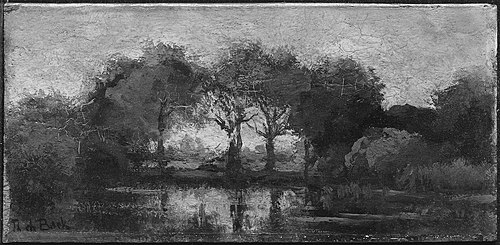 Pool in the Forest, , Théophile de Bock