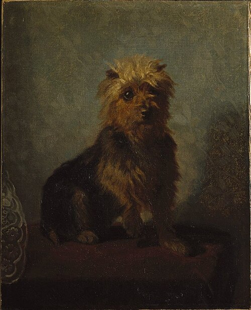 Chadwick's Dog, 1874, Abbott Handerson Thayer