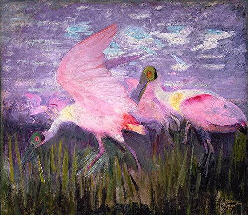 Roseate Spoonbills, study for book Concealing Coloration in the Animal Kingdom, 1905, Abbott Handerson Thayer