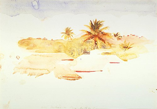 West Indies, 1885, Abbott Handerson Thayer