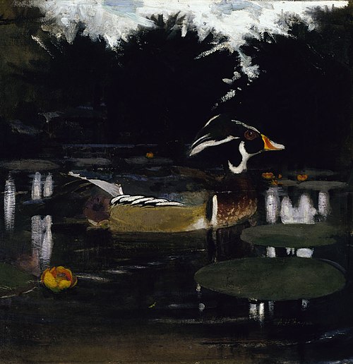 Male Wood Duck in a Forest Pool, study for book Concealing Coloration in the Animal Kingdom, 1907, Abbott Handerson Thayer