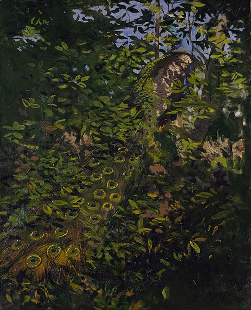 Peacock in the Woods, study for book Concealing Coloration in the Animal Kingdom, 1907, Abbott Handerson Thayer