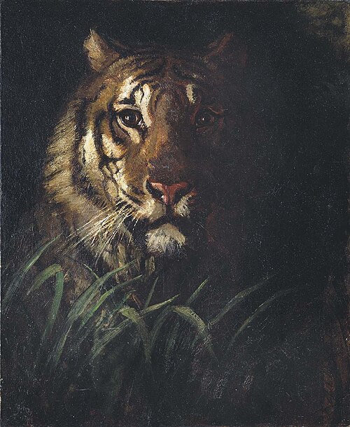 Tiger's Head, 1874, Abbott Handerson Thayer