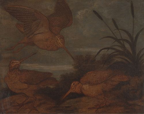 Woodcock at Dusk, 1676, Francis Barlow