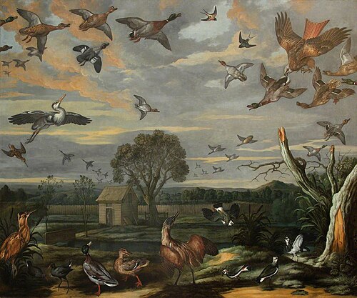 A Decoy, 1672, Francis Barlow