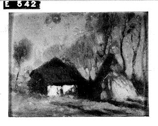 La meule ombrée, 1907, François Cachoud