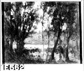 La mare, 1907, François Cachoud