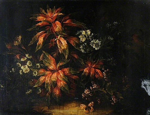 Leaves and Flowers with a Butterfly, , Jean-Baptiste Monnoyer