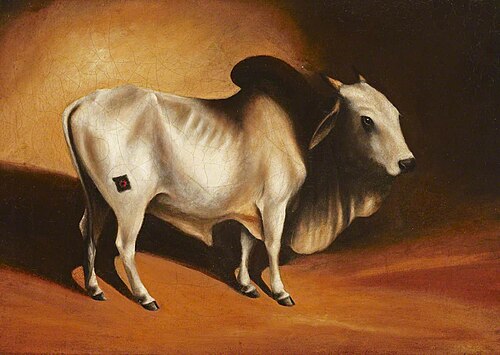 A Brahminy Bull, 1806, George Chinnery