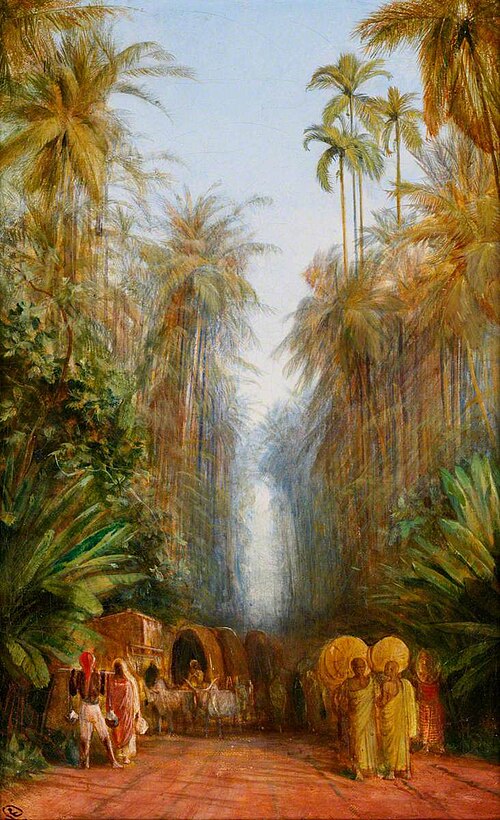 Road near Galle, Ceylon, 1879, Edward Lear