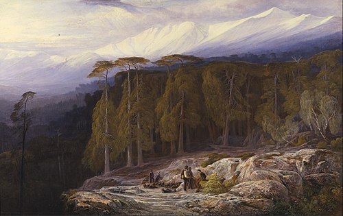 The Forest of Valdoniello, Corsica, 1869, Edward Lear