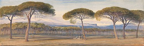 A View of the Pine Woods Above Cannes, 1869, Edward Lear