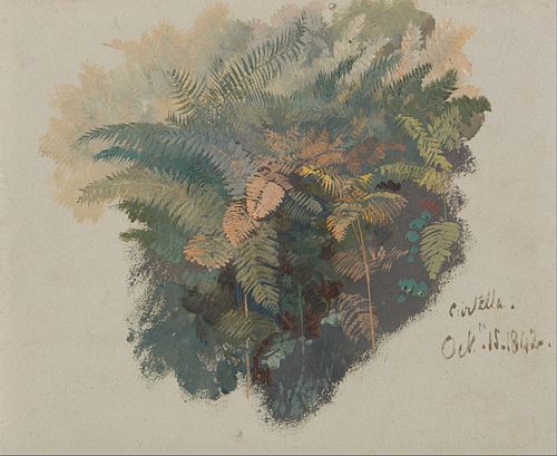 A Study of Ferns, Civitella, 1842, Edward Lear