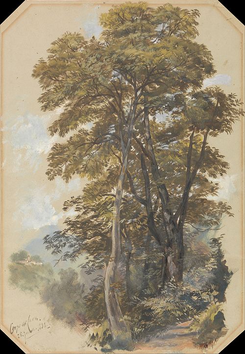 Corpo di Cava, 28 June 1838, 1838, Edward Lear