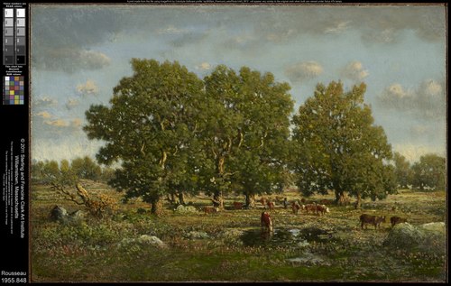 Landscape with Cows and Oaks, 1860, Théodore Rousseau