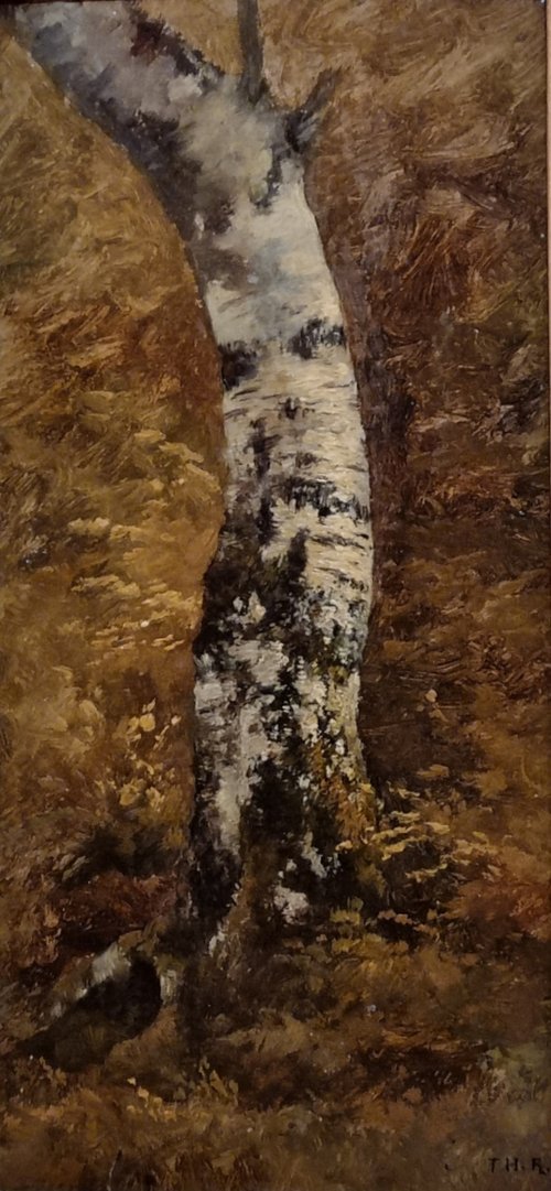 Étude de tronc d'arbre, , Théodore Rousseau