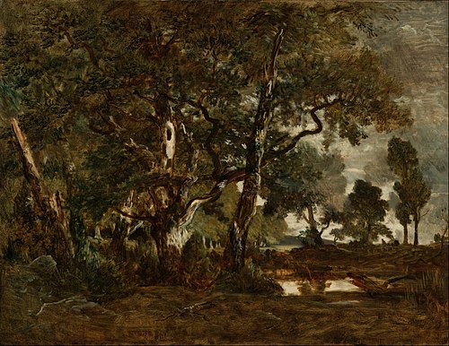 Forest of Fontainebleau, Cluster of Tall Trees Overlooking the Plain of Clair-Bois at the Edge of Ba, 1850, Théodore Rousseau