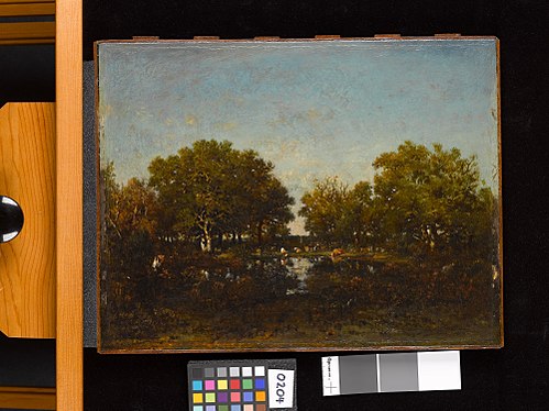 The Pool (Memory of the Forest of Chambord), 1839, Théodore Rousseau