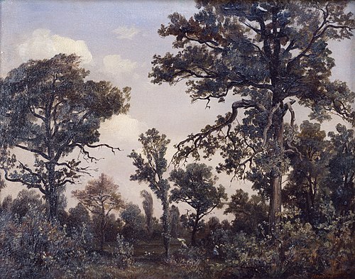 The Large Oak Tree, Forest of Fontainebleau, 1839, Théodore Rousseau