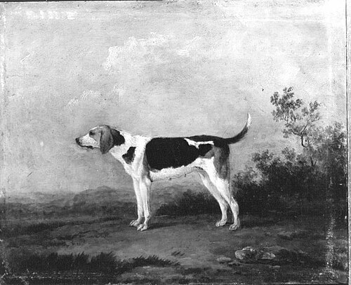 Hundestück, 1757, Georges-Frédéric Meyer