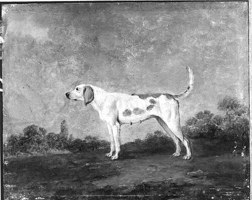 Hundestück, 1757, Georges-Frédéric Meyer