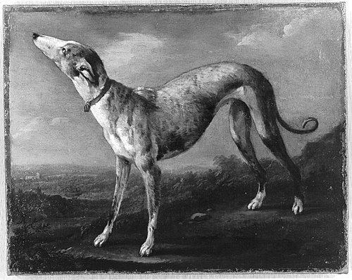 Windhund, 1757, Georges-Frédéric Meyer