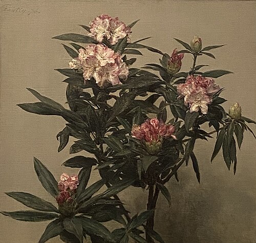 Rhododendrons, 1874, Henri Fantin-Latour
