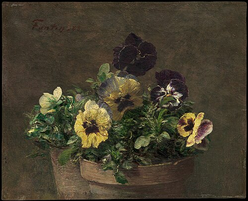 Potted Pansies, 1883, Henri Fantin-Latour