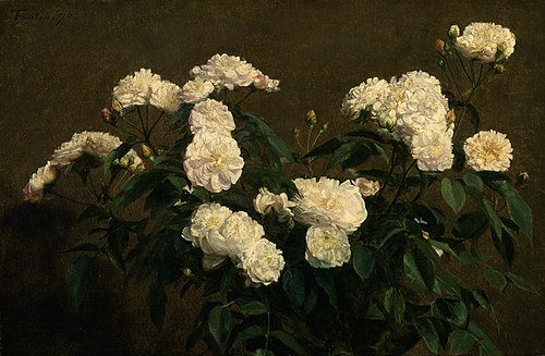 Still Life of White Roses, 1870, Henri Fantin-Latour