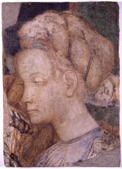 Testa di donna, 1431, Pisanello
