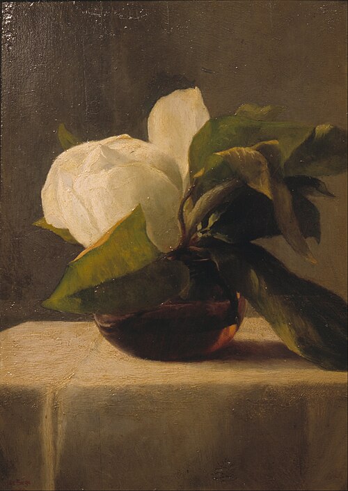 Magnolia, 1859, John La Farge