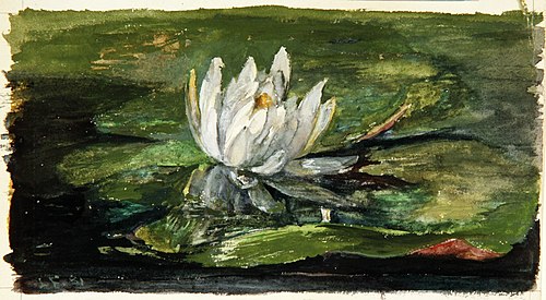 Water Lily in Sunlight, 1881, John La Farge