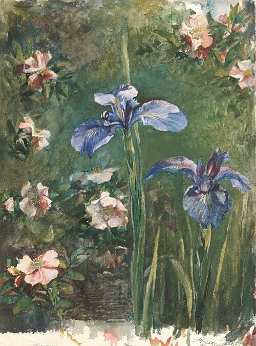 Wild Roses and Irises, 1887, John La Farge