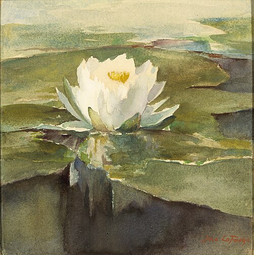 Water Lily in Sunlight, 1883, John La Farge