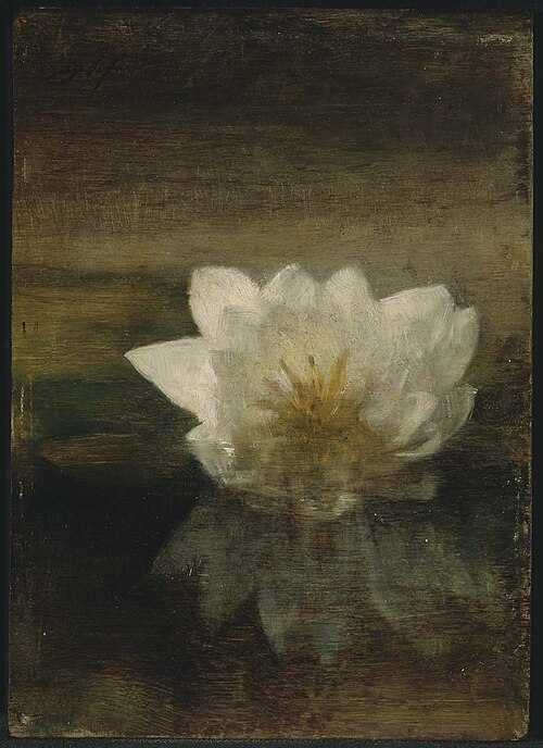 Water Lily, 1879, John La Farge