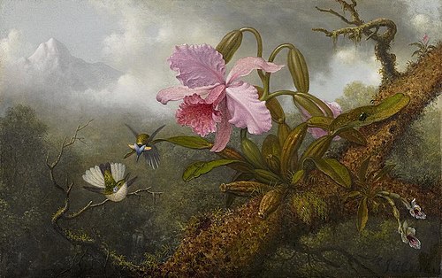 Cattleya Orchid, Two Hummingbirds and a Beetle, 1882, Martin Johnson Heade