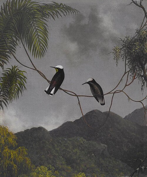 Snowcap, 1863, Martin Johnson Heade