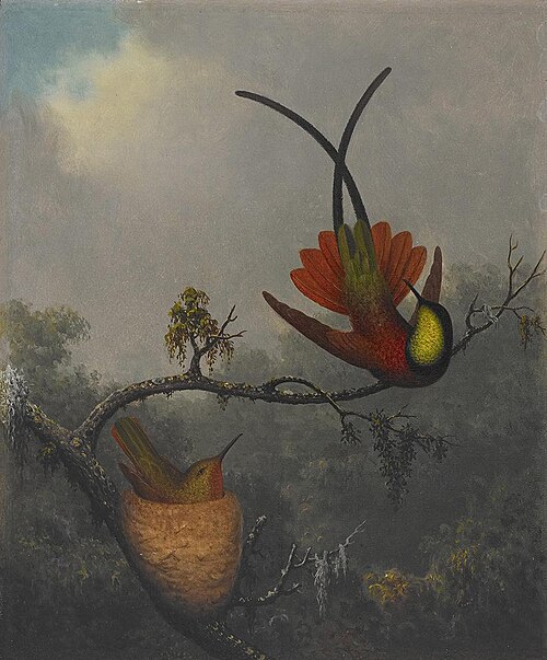 Crimson Topaz, 1863, Martin Johnson Heade