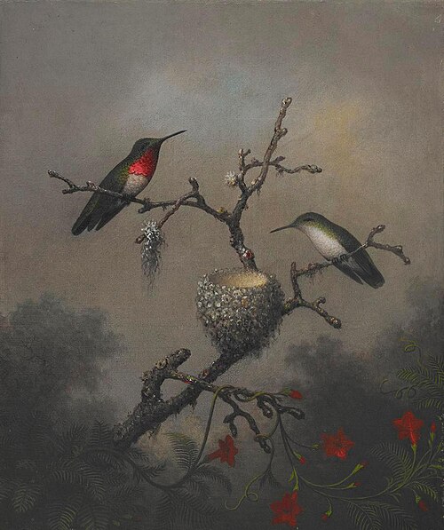 Ruby-throated Hummingbird, 1863, Martin Johnson Heade