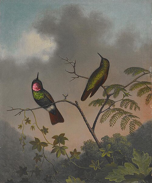 Brazilian Ruby, 1863, Martin Johnson Heade