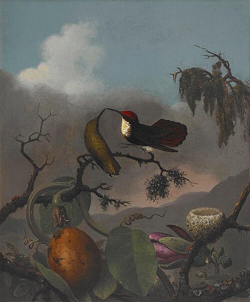 Ruby-Topaz, 1863, Martin Johnson Heade