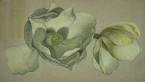 Study of Two Magnolia Blossoms, 1870, Martin Johnson Heade