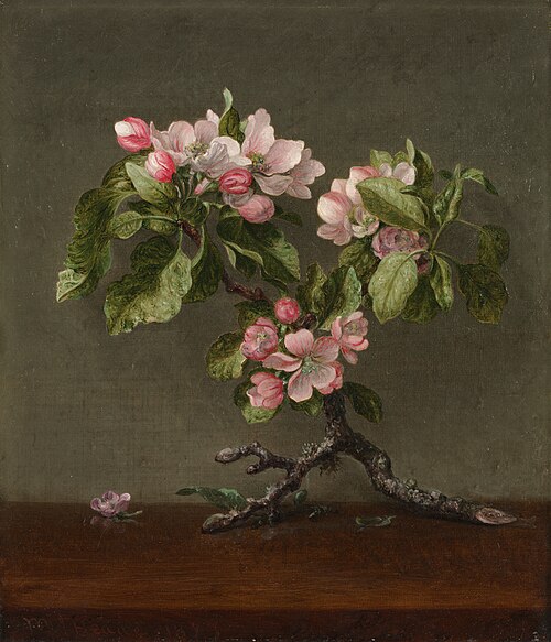 Apple Blossoms, 1873, Martin Johnson Heade