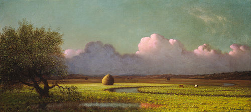 Ombre et lumière : les marais de Newbury, 1871, Martin Johnson Heade